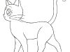 colorir (10)